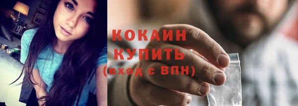 прущий лед Алзамай