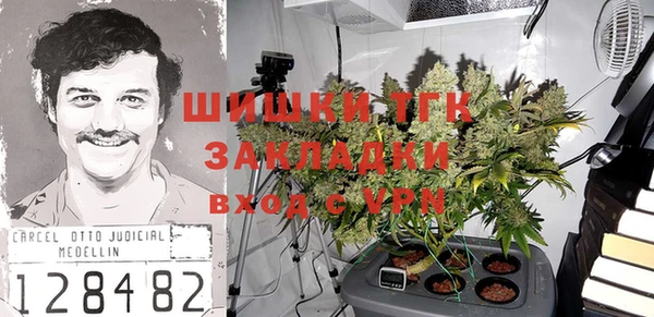 прущий лед Алзамай