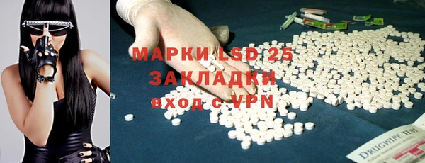 прущий лед Алзамай