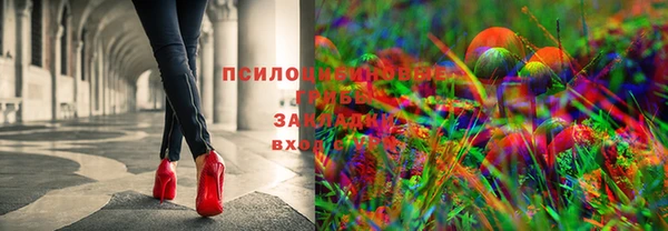 круглые Алексеевка